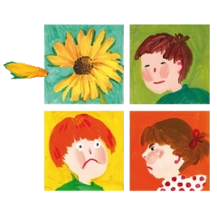 Groupes Tournesol